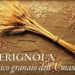 cerignola quadrato